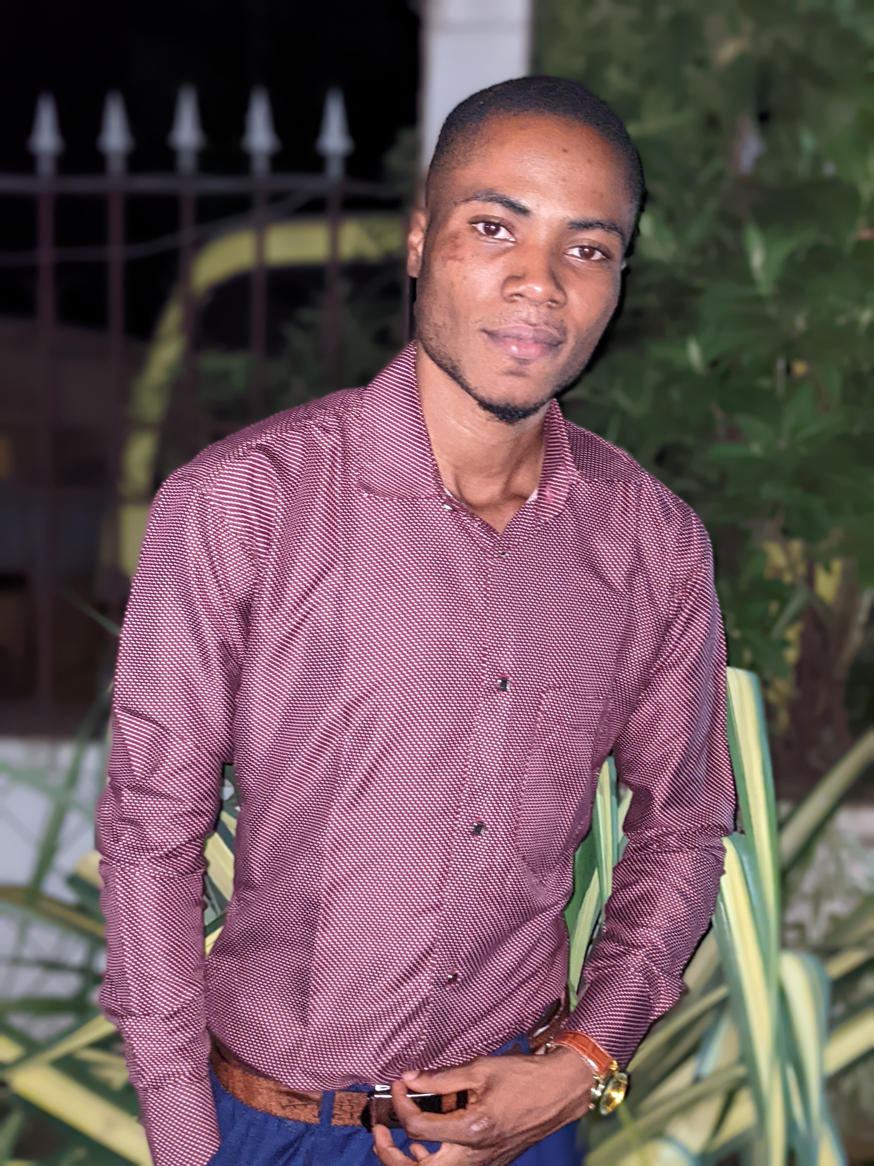 Ben Resume HTML Template